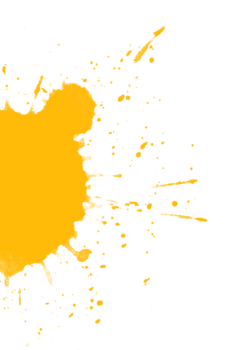 shape
