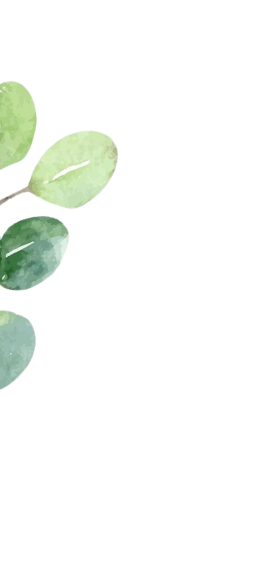 shape