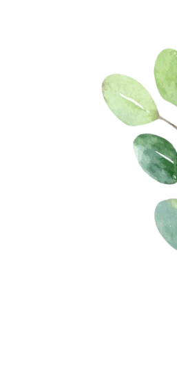 shape