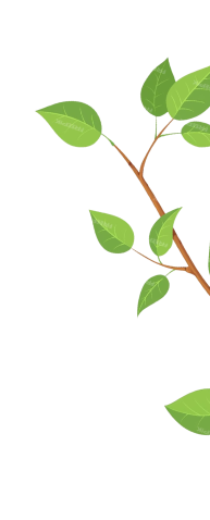shape
