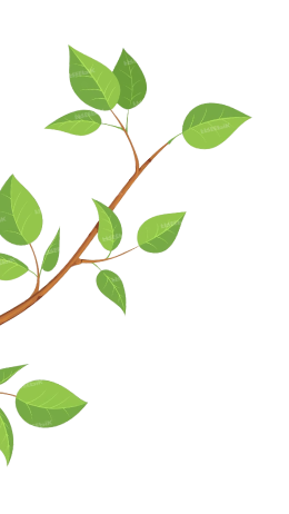 shape